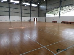 定做籃球木地板哪個牌子較環(huán)保
